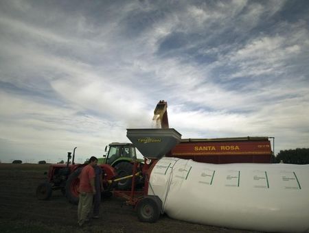 © Reuters. Produtor rural armazena soja em silo-bolsa em cidade argentina de Estación Islas