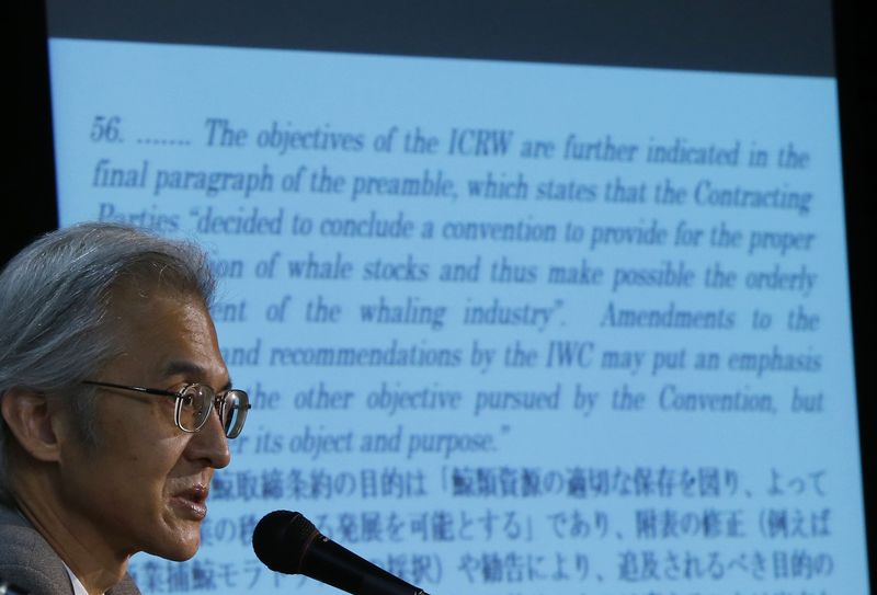 © Reuters. Japan's Commissioner to the International Whaling Commission, Joji Morishita, speaks during a news conference in Tokyo