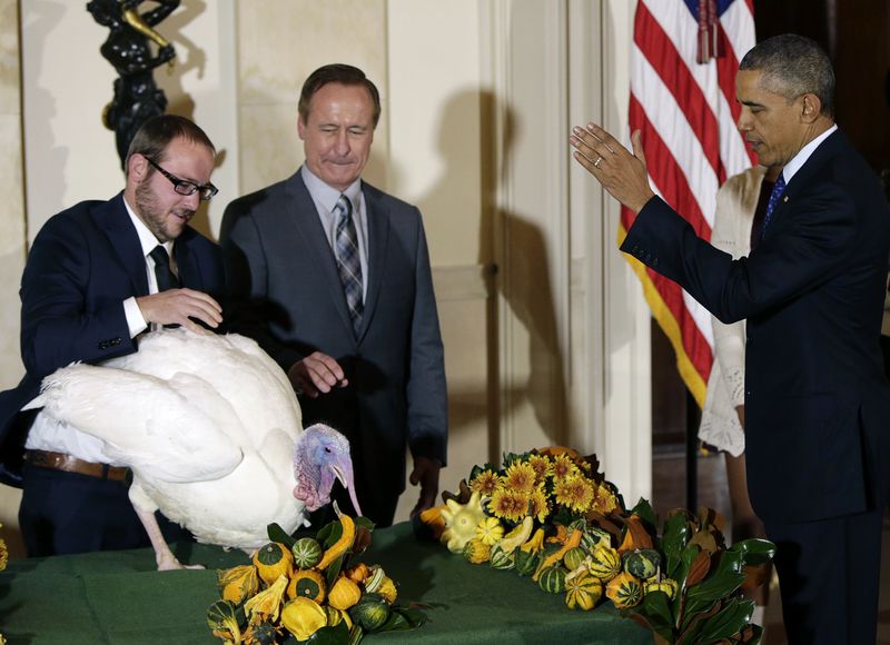 © Reuters. US President Obama pardons the National Thanksgiving Turkey at White House in Washington