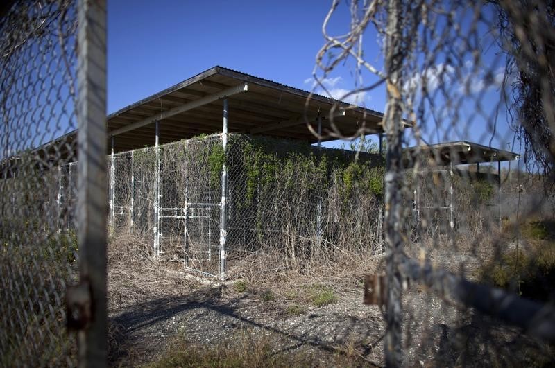 © Reuters. Weeds and flowers grow near the fence at Camp X-Ray, a prison formerly used to house detainees at the U.S. Naval Base at Guantanamo Bay