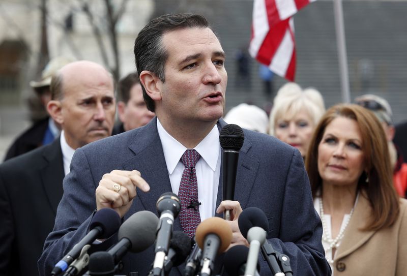 © Reuters. U.S. Senator Ted Cruz speaks to the press about the need "To Defund the President's Executive, Unconstitutional Amnesty" on Capitol Hill in Washington