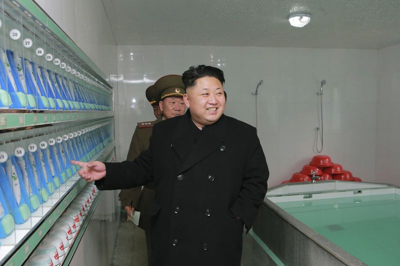 © Reuters. North Korean leader Kim inspects the Artillery Company under the KPA Unit 963, in this undated photo released by North Korea's KCNA in Pyongyang
