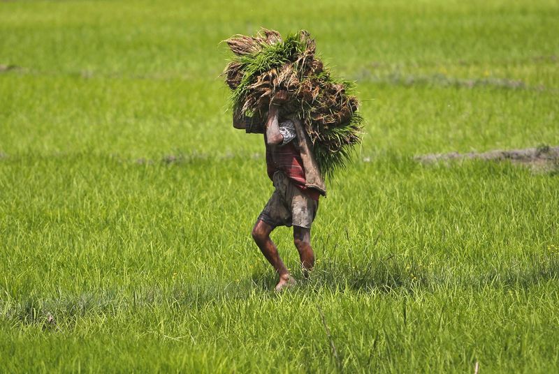 © Reuters. Expertos en salud advierten de que falta enfoque en los últimos objetivos de la ONU