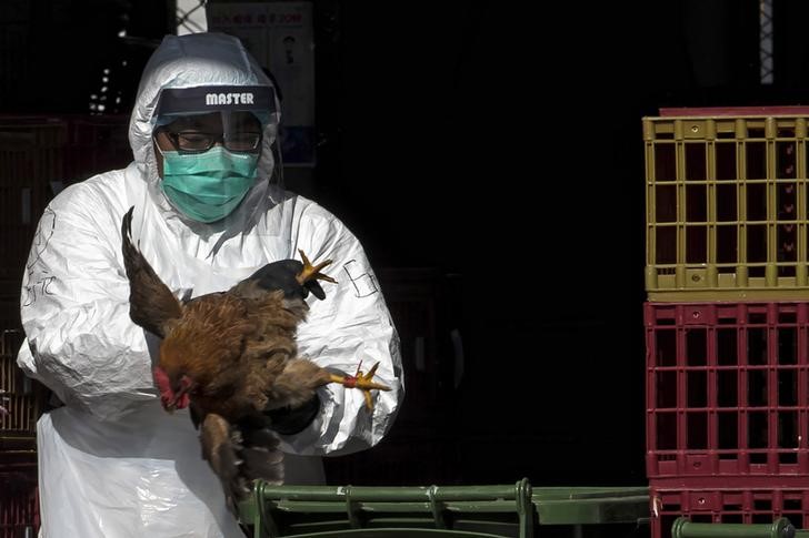 © Reuters. خبراء الصحة يحذورن من استخدام أمراض الحيوانات كأسلحة بيولوجية