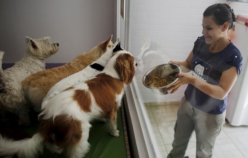© Reuters. شركة اراتانا تنتج عقارا تجريبيا جديدا لفتح شهية الكلاب