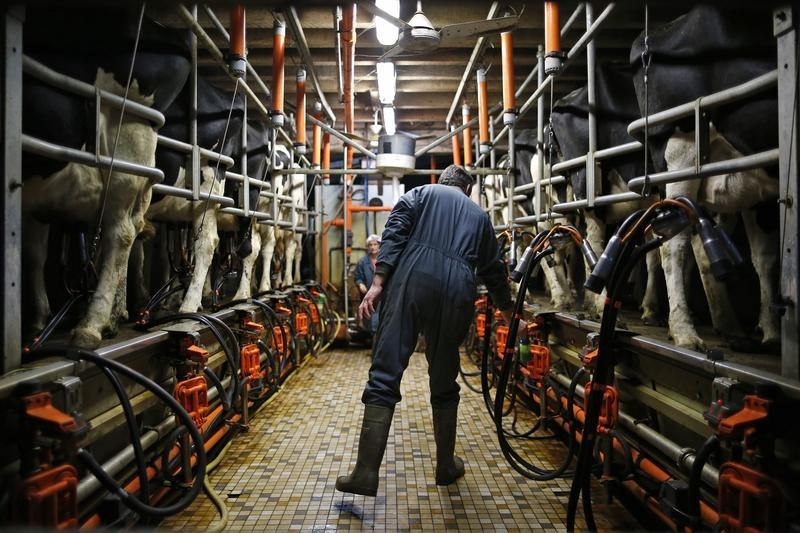 © Reuters. DES AGRICULTEURS PORCINS ET LAITIERS MANIFESTENT EN BRETAGNE
