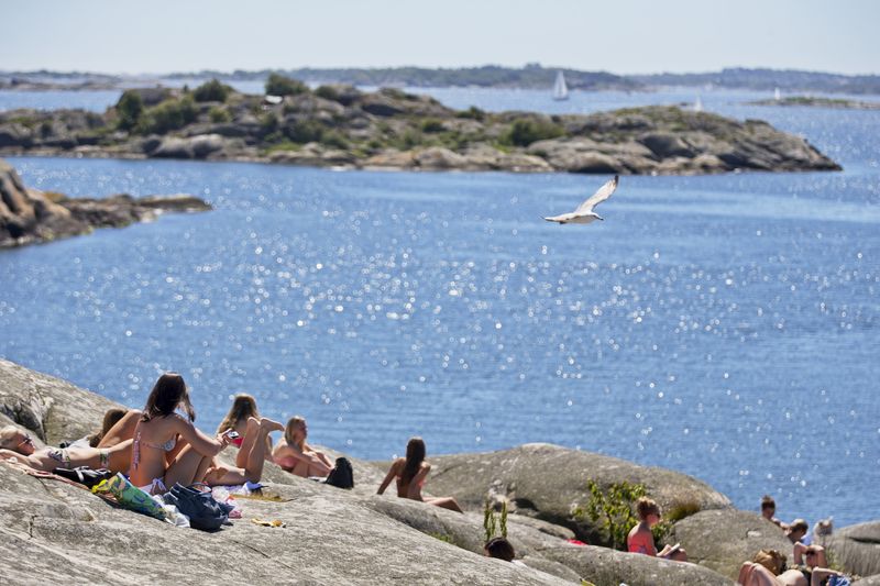 © Reuters. Científicos, convencidos de que ola de calor en Europa es impulsada por cambio climático