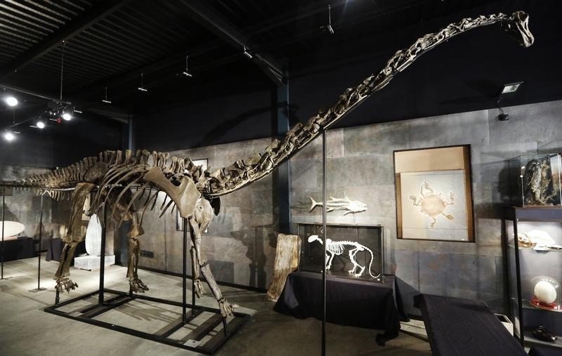 © Reuters. من هي ويندي ولماذا سمي الديناصور على اسمها؟
