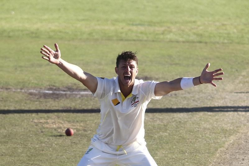 © Reuters. Australia's Pattinson appeals successfully for the wicket of Sotuh Africa's Amla during the fourth day of the third cricket test match at Newlands Stadium in Cape Town