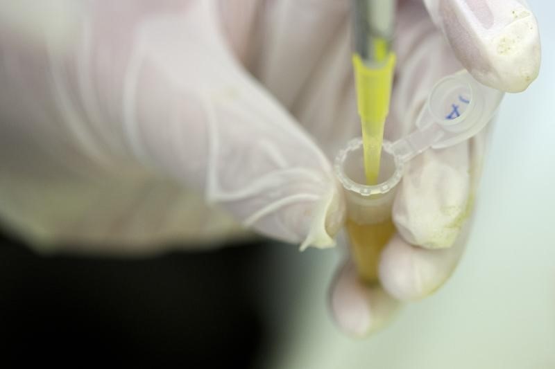 © Reuters. بدء اختبارات جديدة في اوروبا وافريقيا على لقاحين لمكافحة الايبولا