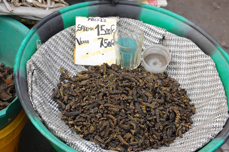 © Reuters. El Congo implementará la cría de insectos contra el hambre