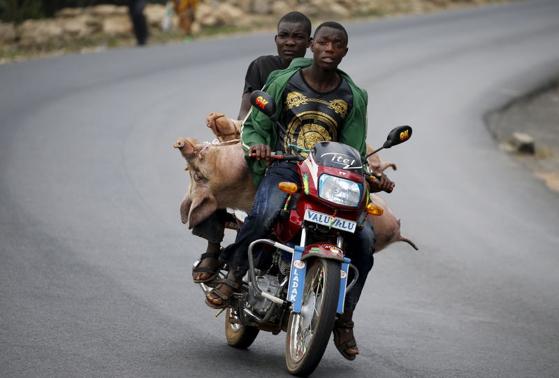 © Reuters. A Burundian man transports a passenger and two pigs to markets in the capital Bujumbura