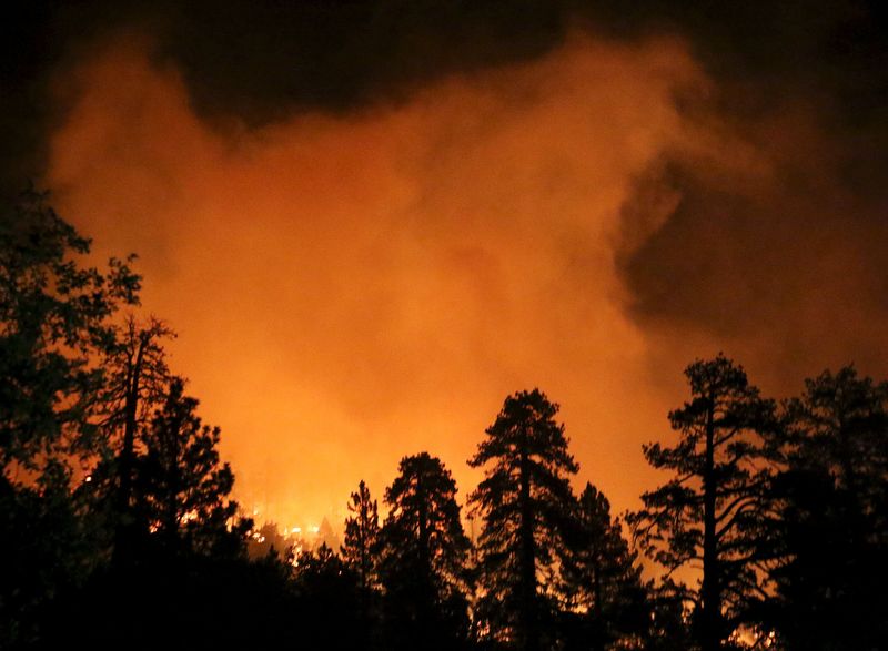 © Reuters. حريق غابات في كاليفورنيا يهدد المنازل ويجبر السلطات على اجلاء السكان