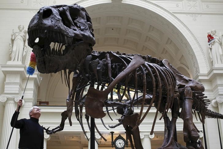 Dinossauros como o T. Rex tinham tipo único de dente serrilhado