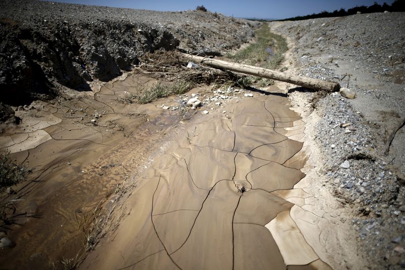 © Reuters. A dry ditch is seen on Gless Ranch in Kern County