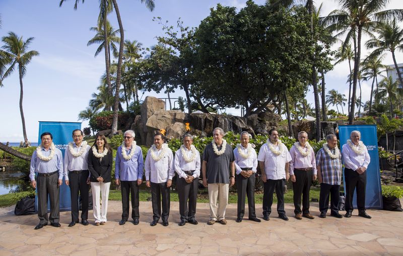 © Reuters. Trade ministers line up for a family photo during TPP talks in Lahaina Ã¢â¬Â¨