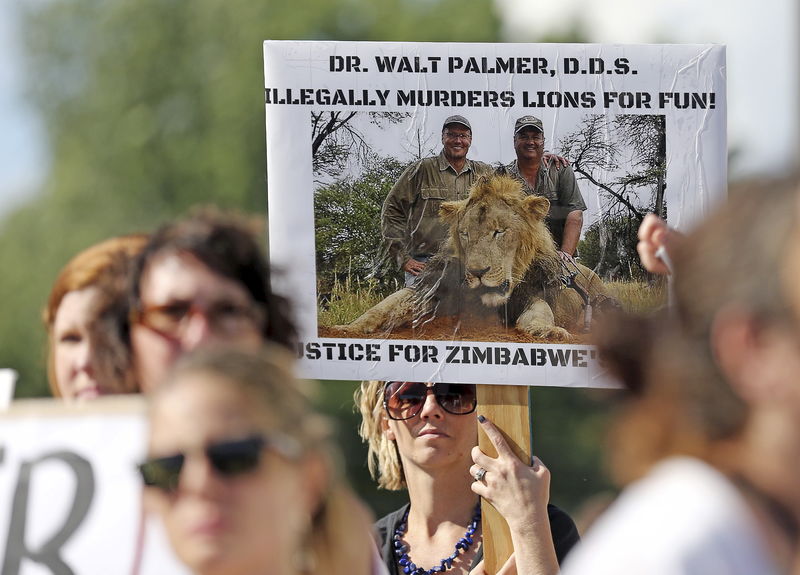 © Reuters. Manifestantes protestam em Bloomington, Minnesota, nos EUA,  contra morte de leão no Zimbábue