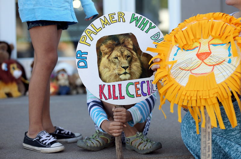 © Reuters. Girl holds sign at the doorway of Bloomington's River Bluff Dental clinic in protest against the killing of a famous lion in Zimbabwe