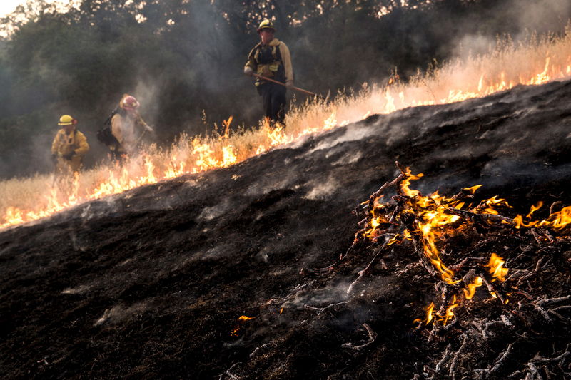 © Reuters. اتساع نطاق حرائق الغابات في كاليفورنيا وتشرد الالاف