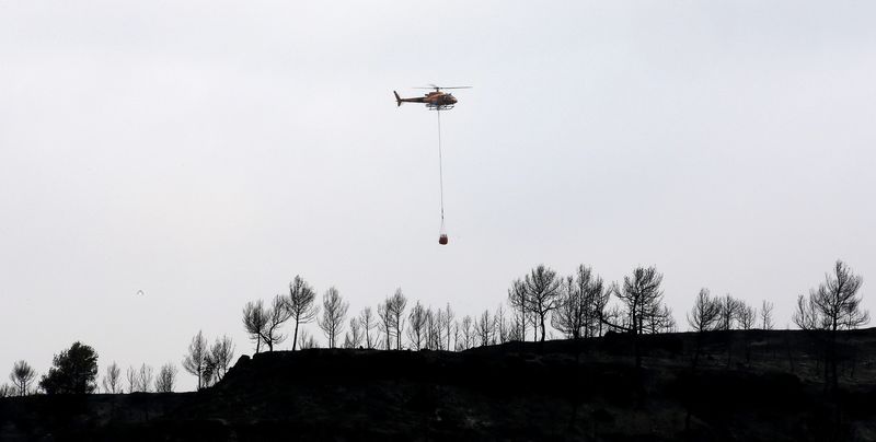 © Reuters. Un incendio obliga a evacuar a 1.400 personas en el norte de Cáceres