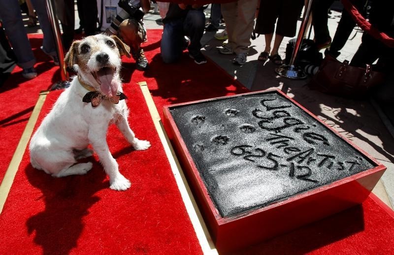 © Reuters. Cachorro Uggie deixa sua marca no Teatro Chinês de Grauman, em Hollywood