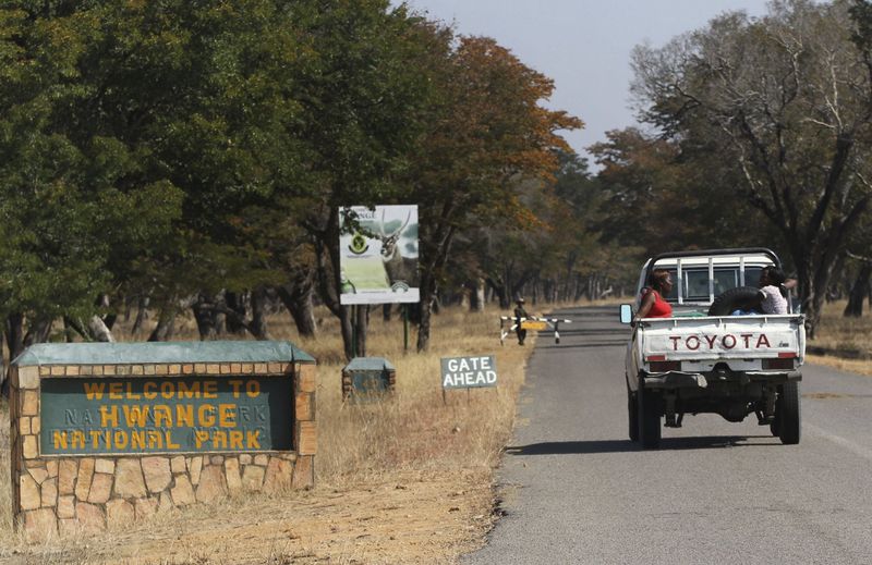 © Reuters. A vehicle carries visitors arriving at Zimbabwe's Hwange National Park