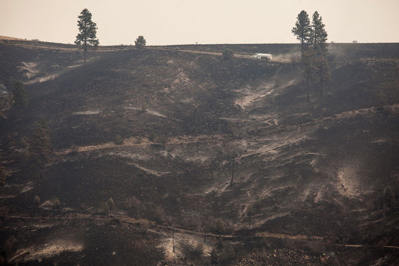 © Reuters. Local atingido por incêndio em Chelan, Washington