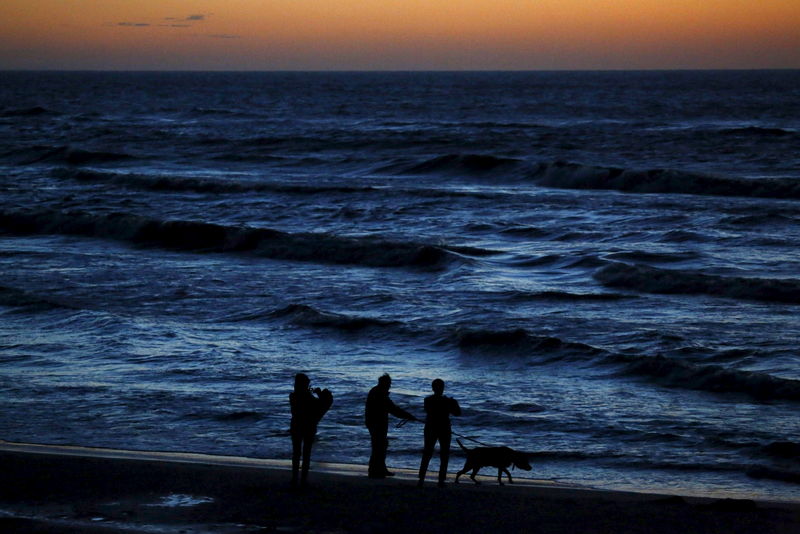 © Reuters. Costa do Mar Báltico, perto de Choczewo, no norte da Polônia