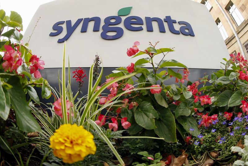 © Reuters. Flowers grow in front of Swiss agrochemicals maker Syngenta's logo at the company's headquarters in Basel
