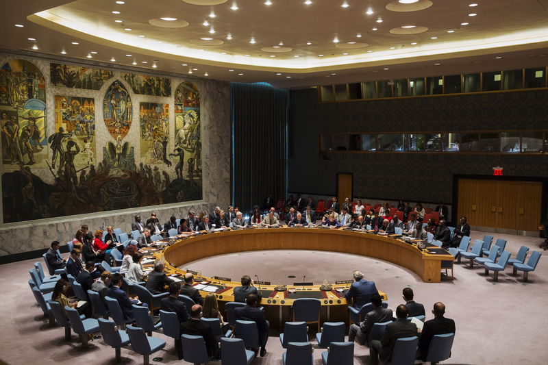 © Reuters. Members of the United Nations Security Council address a resolution in New York