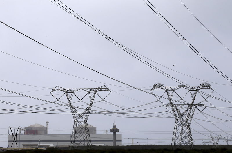 © Reuters. Pylons carry power from South Africa's Koeberg nuclear power plant near Cape Town