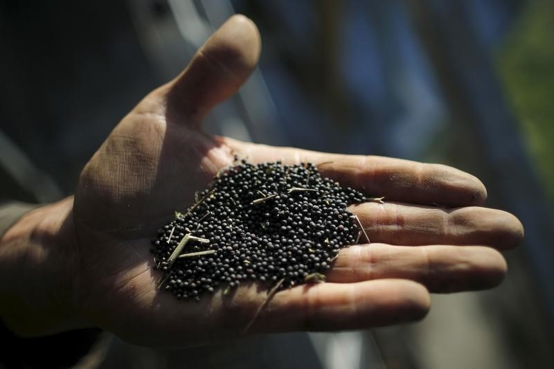 © Reuters. Los precios mundiales de los alimentos caen bruscamente en agosto