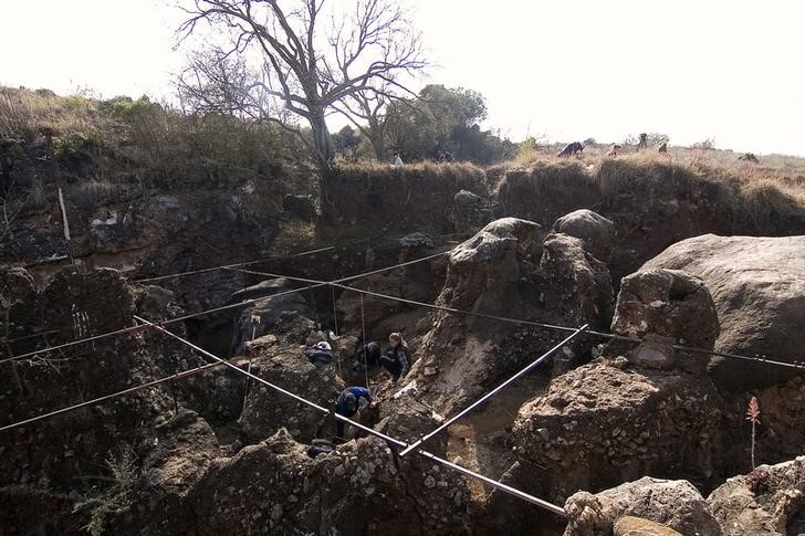 © Reuters. Un antiguo pariente de los humanos ya habría enterrado a sus muertos