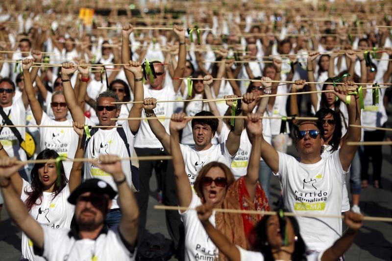 © Reuters. El Toro de la Vega muere lanceado en Tordesillas pese a las protestas 