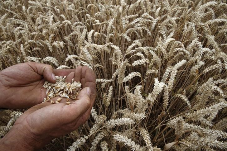 © Reuters. وزارة المالية السودانية ترفع الدعم عن مشتريات القمح من الخارج