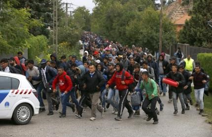 © Reuters. Migrants run as they follow a police vehicle on their way to the Austrian border in Nickelsdorf from Hegyeshalom