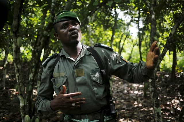 © Reuters. Kolo Ouattara, an OPIR agent responsible for Mont Peko, tallks during a patrol inside Mont Peko National Park