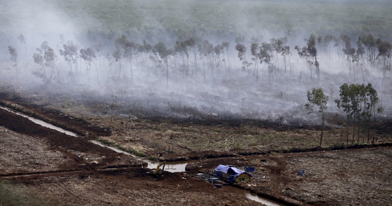 © Reuters. رئيس إندونيسيا يطلب مساعدة أربع دول لمكافحة الحرائق