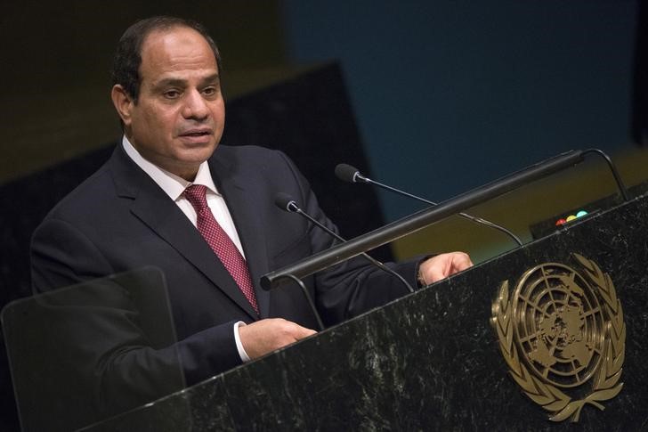 © Reuters. مقابلة-لواء سابق بالجيش المصري يقول إن تحالفه الانتخابي سيقود البرلمان