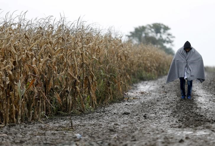 © Reuters. Imigrante cruzando a fronteira da Sérvia para a Croácia pela cidade de Sid