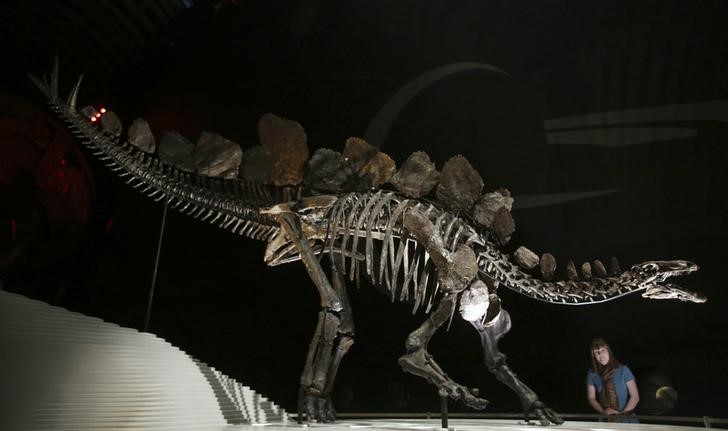 © Reuters. وضع امريكي تحت المراقبة في كولورادو لتهريبه حفريات ديناصور