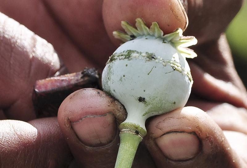 © Reuters. Crece el mal uso y las muertes por opiáceos de venta bajo receta en EEUU