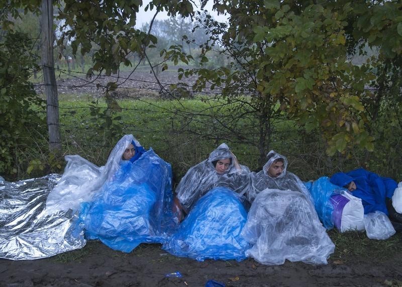 © Reuters. مفوضية اللاجئين: أكثر من 10 آلاف مهاجر موجودون في صربيا