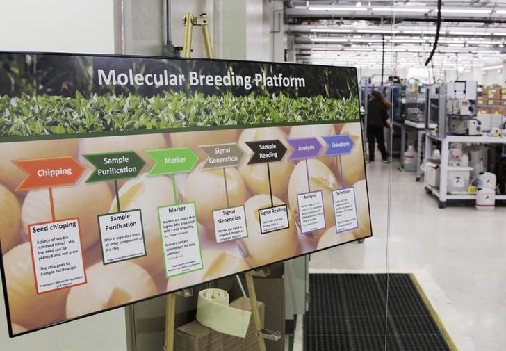 © Reuters. A sign showing the plant breeding process is seen in the molecular breeding lab in the Monsanto research facility in Chesterfield