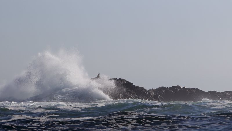 © Reuters. A wave breaks on Sea Lion Rocks located West of Vargas Island where the Leviathan II whale-watching boat sank in Tofino