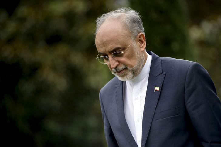 © Reuters. The Head of the Iranian Atomic Energy Organization Ali Akbar Salehi walks through a garden at the Beau Rivage Palace Hotel during an extended round of talks in Lausanne