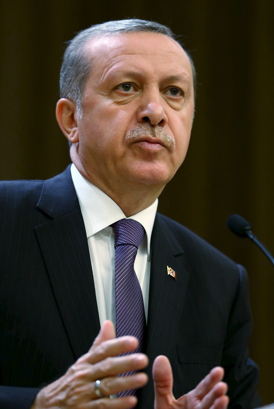 © Reuters. اردوغان يطالب بتعديل الدستور التركي بعد فوز العدالة والتنمية في الانتخابات