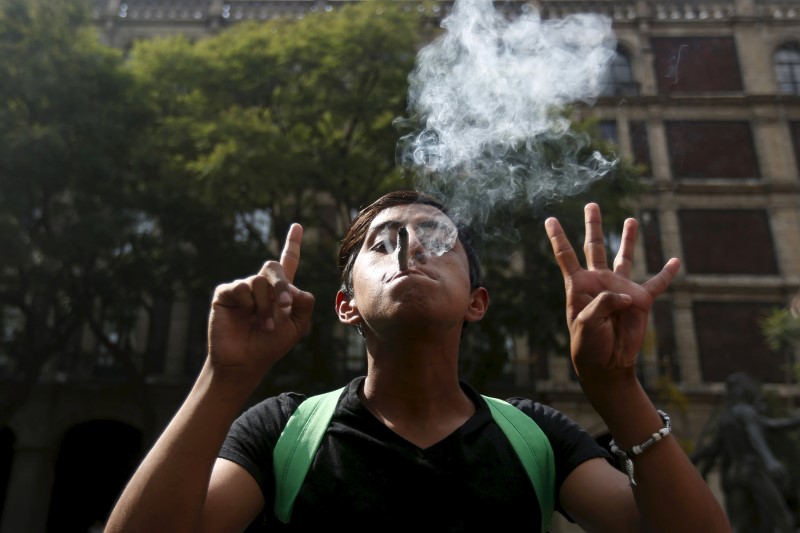 © Reuters. México abre la puerta al uso recreativo de la marihuana