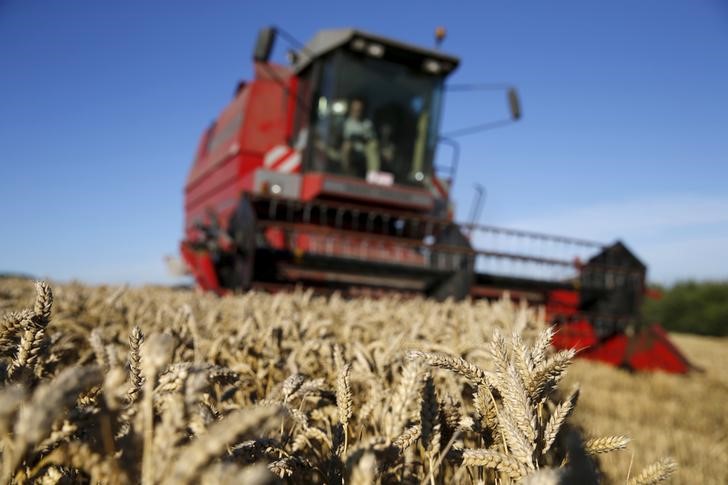 © Reuters. Agricultor francês trabalha em campo de trigo em Coquelles, perto de Calais