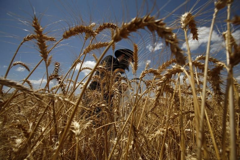 © Reuters. MENTION SUR LES PRODUITS DES COLONIES JUIVES IMPORTÉS DANS L'UE